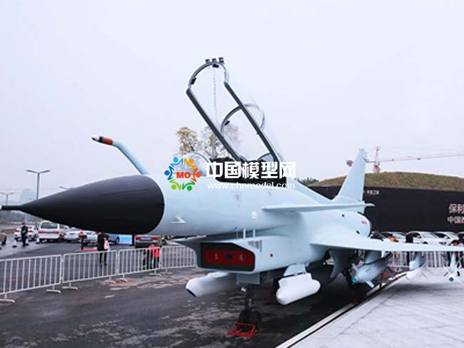 殲-10戰(zhàn)斗機(jī)模型