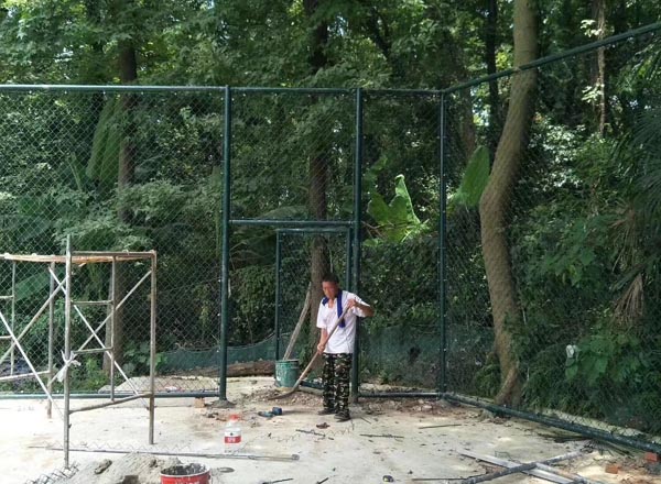 �w����(ch��ng)���ھW(w��ng)���b