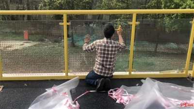 護(hù)欄網(wǎng)價格 護(hù)欄網(wǎng)價格