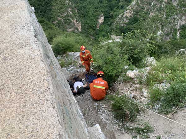 護欄網(wǎng)價格 護欄網(wǎng)價格