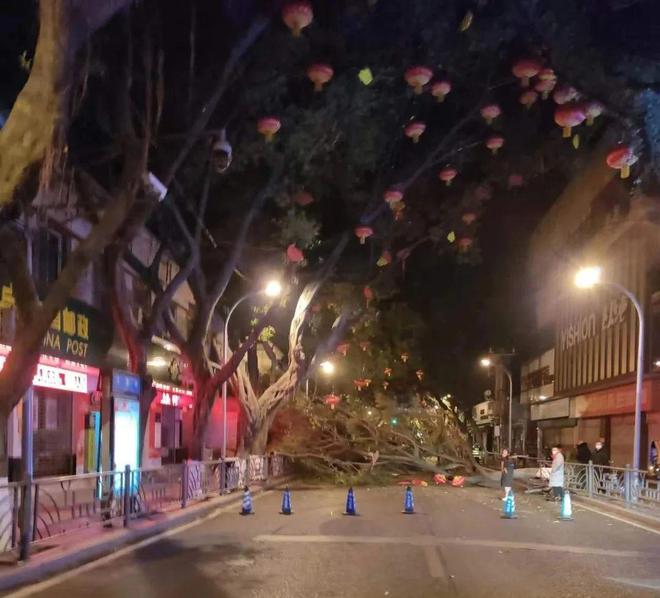 道路護(hù)欄網(wǎng)價格 道路護(hù)欄網(wǎng)價格