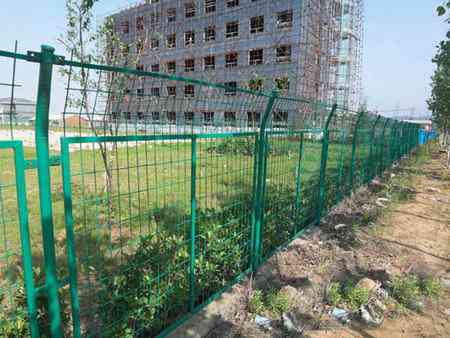 ����o�ھW(w��ng)�r��