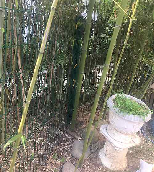 �Ͼ��o(h��)�ھW(w��ng)