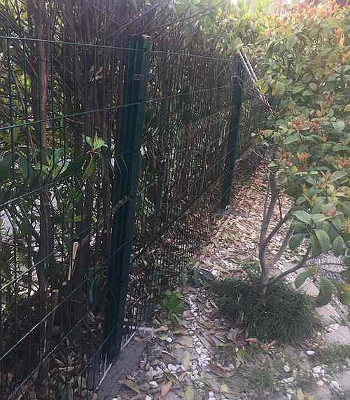 �������o(h��)�ھW(w��ng)